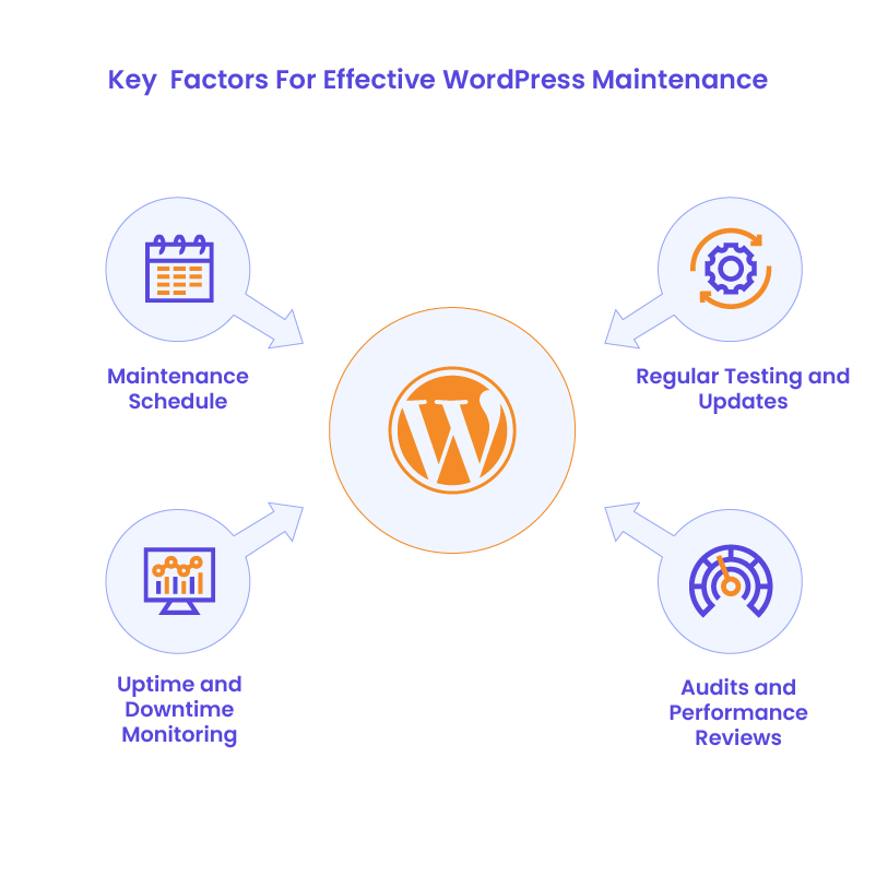 WordPress Website Management for Long-term Success