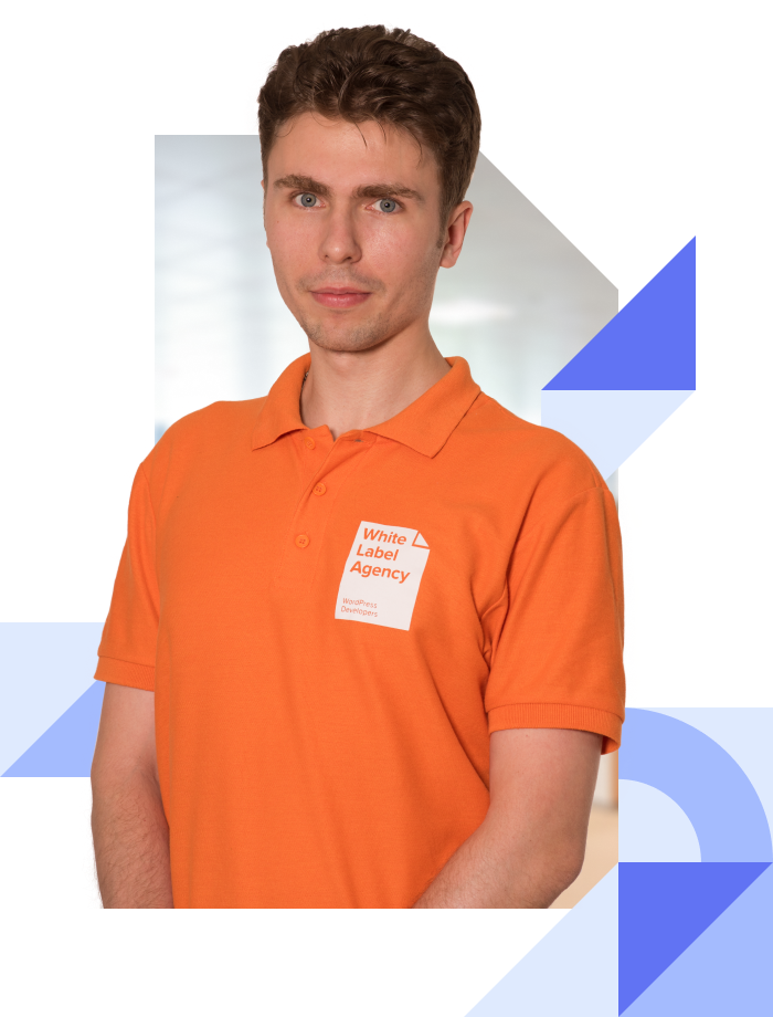 Beaver Builder review
