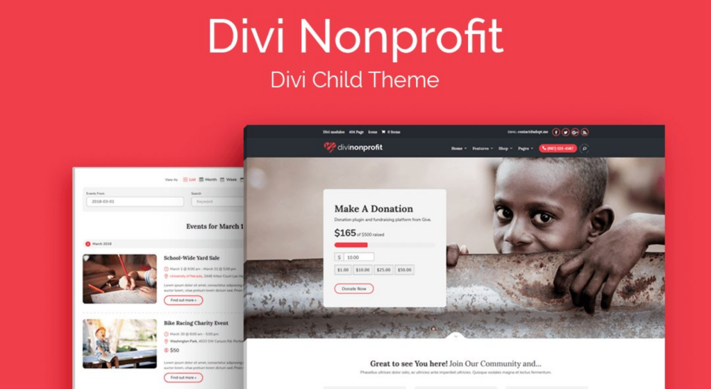 Divi Theme - Nonprofit WordPress Themes