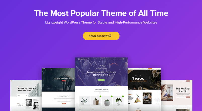 Astra dashboard - simple WordPress themes