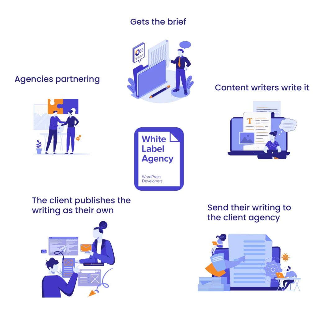 The Process of White Label Content Creation