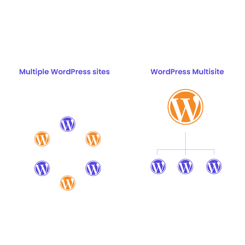 What is WordPress Multisite? - The White Label Agency