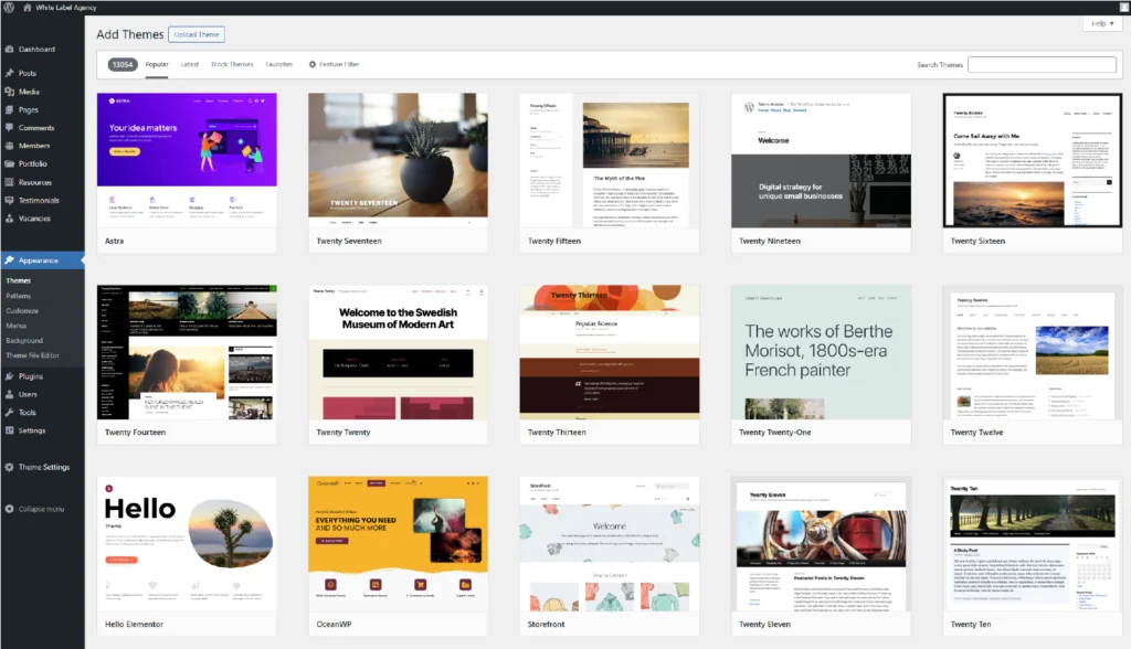 Wix to WordPress Migration - Select and Install a Theme
