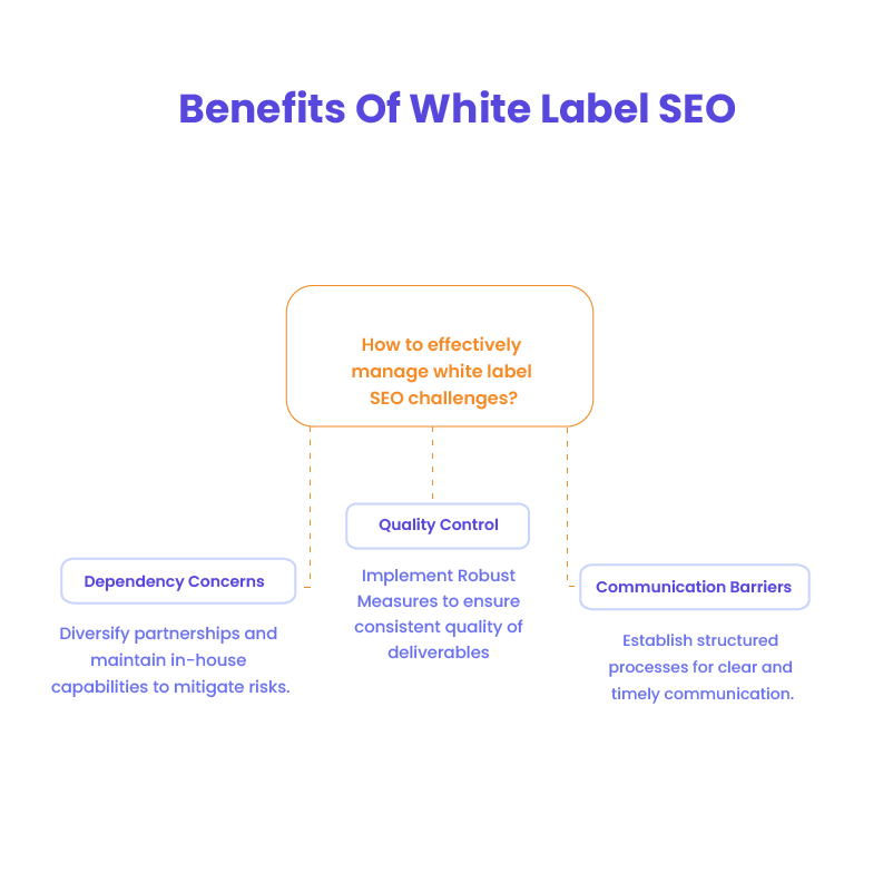 Challenges of white label SEO: quality control, communication, and dependency