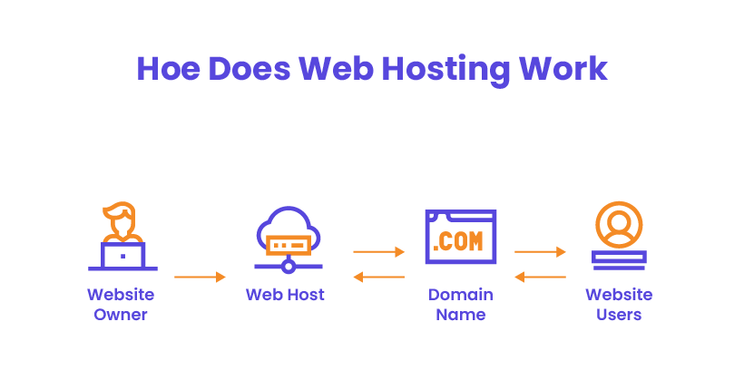 What is web hosting